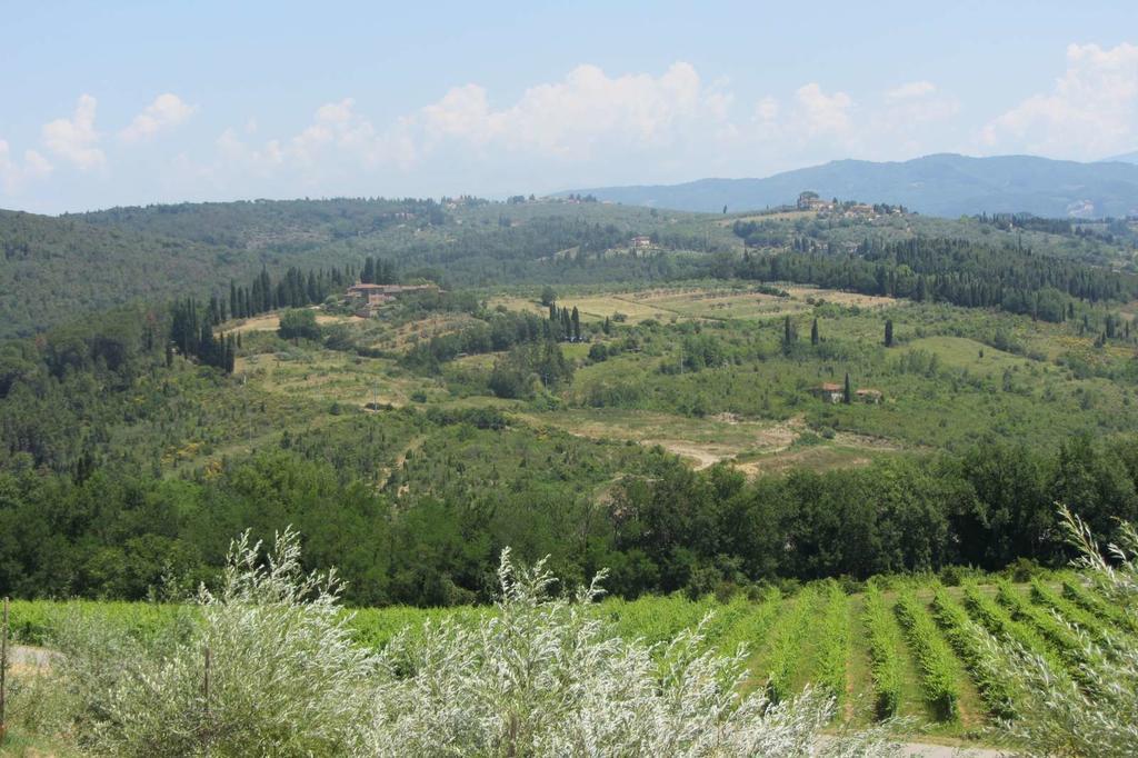 Winery Houses In Chianti Mercatale Val Di Pesa Quarto foto
