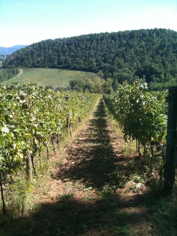 Winery Houses In Chianti Mercatale Val Di Pesa Quarto foto